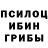 Галлюциногенные грибы Magic Shrooms Pandora Sun